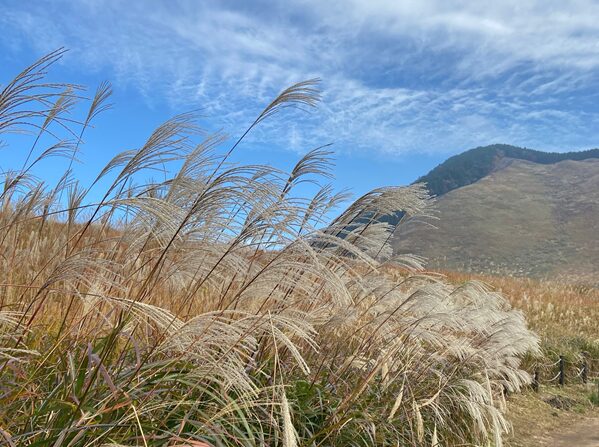 季節の変わり目に増える“花粉性皮膚炎”